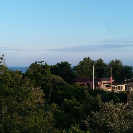 Guest House Nika New Athos 外观 照片